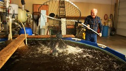 Innovative Aquaponics - Creating Efficient, Sustainable Systems Instructional Video