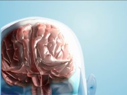 Healthy Nervous and Endocrine Systems: Common Problems of the Nervous System Instructional Video