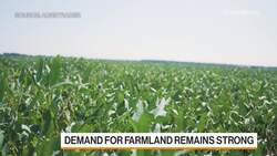 AcreTrader CEO Carter Malloy on The Market for Farmland News Clip