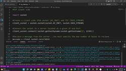 The Art of Doing - Python Network Applications with Sockets - Sending Data through a TCP Connection Instructional Video