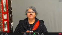 AFN national chief on election priorities News Clip
