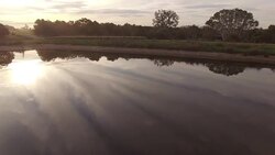 Drone over Australian farm, sheep herd Stock Footage