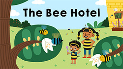 The Bee Hotel Instructional Video