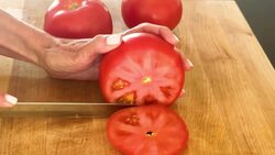 You're Doing It All Wrong - How To Slice, Dice, And Wedge A Tomato Instructional Video