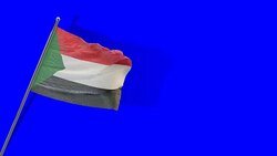 sudanese flag Rising Stock Footage