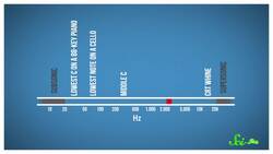Why Do Some Noises Make You Cringe? Instructional Video