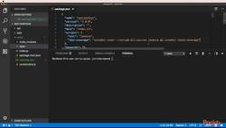 Tips, Tricks, and Techniques for Node.js Development 4.4: Code Coverage Instructional Video
