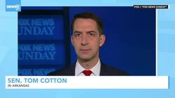 White House Battles A Crisis At Southwest Border — Human and Political News Clip