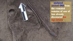 Ancient population discovery! Instructional Video