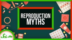 5 Things We Still Get Wrong About Human Reproduction Instructional Video