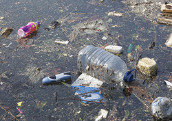 Water pollution Instructional Video