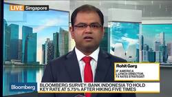 'Long' Indonesian Bonds Recommended, BofAML's Garg Says News Clip