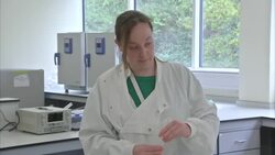 Corinavirus Testing - Nasal Probe News Clip
