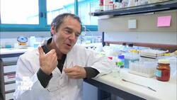 Mysteries of the Palate: Unveiling the Science Behind Food Quirks Instructional Video