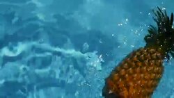 Pineapple Floating In blue Water In Swimming Pool. Healthy Raw Organic Food. Juicy Fruit. Vegetarian, Vegan Nutrition, Vitamins, Diet, summer holidays, vacation concepts. Exotic tropical background Stock Footage