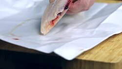 North Sea sole filet Stock Footage
