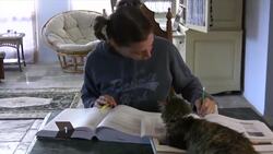 How to Become a Dentist Instructional Video