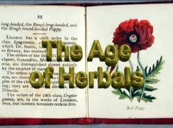 Early Scientific Revolution - Leonhard Fuchs Instructional Video