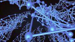 Unraveling Genetics: How Genes Shape Our Traits Instructional Video