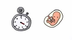 ¿Los fetos hacen popó? Instructional Video