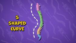 I WONDER - What Shape Is The Spine? Instructional Video