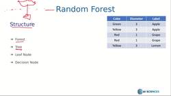 Machine Learning Random Forest with Python from Scratch - Structure Instructional Video