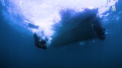 Unveiling the Mysteries of Manta Rays with Andrea Marshall Instructional Video