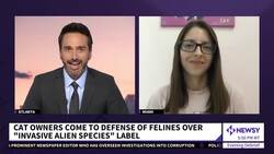 Polish Institute Classifies Cats As Alien Invasive Species News Clip