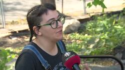 Montreal’s Chinatown garden winding down fruitful season amid uncertain future News Clip