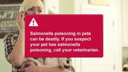 How to Recognize Symptoms of Salmonella Poisoning in Pets Instructional Video