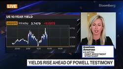 Rise in 10-Year Yield Would Be Game Changer: Amoroso News Clip