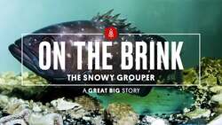 Overfishing May Prevent This Gal From Finding Her Soul Mate Instructional Video