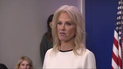 Conway: Trump monitoring impeachment, mood is fine News Clip