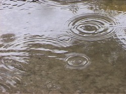 Vibraciones y ondas: introducción Instructional Video