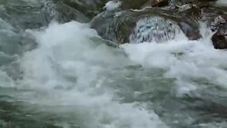 Beautiful river stream flow fast in forest in Caucasus mountains, Georgia Stock Footage