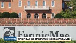 Gov't Has Made a Lot of Money From Fannie and Freddie, Jim Millstein Says News Clip