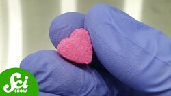 Is MDMA the Solution to PTSD? Instructional Video