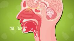 I WONDER - What Does The Tongue Do? Instructional Video