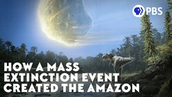 How a Mass Extinction Event Created the Amazon Instructional Video