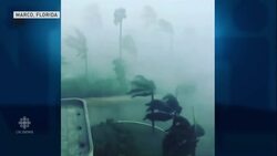 Cleanup efforts underway in Miami after Hurricane Irma News Clip