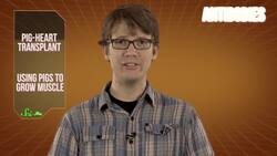 Baboons With 2 Hearts & Pigs With Human DNA Instructional Video