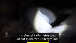 Longest drug tunnel ever found between Tijuana and San Diego News Clip