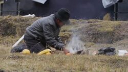 "Suicide" deaths of migratory birds baffle ornithologists Instructional Video