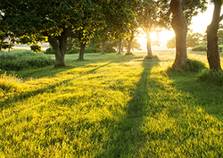 Photochemical reactions Instructional Video