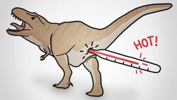 How To Take A Dinosaur's Temperature Instructional Video