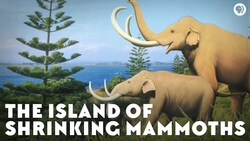 The Island of Shrinking Mammoths Instructional Video