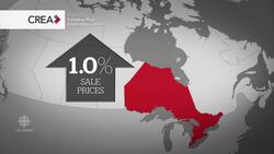 Housing crunch News Clip