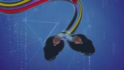 Rare two-headed baby copperhead found in Virginia Instructional Video