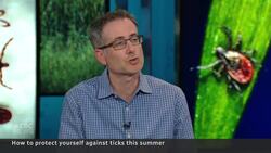 How to protect yourself from Lyme disease (even if you get bitten) News Clip