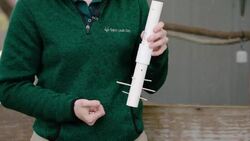 This Bird Is One of the Most Intelligent Animals in the World Instructional Video